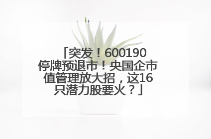 突发！600190停牌预退市！央国企市值管理放大招，这16只潜力股要火？