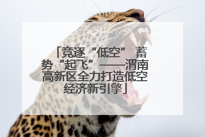 竞逐“低空” 蓄势“起飞”——渭南高新区全力打造低空经济新引擎