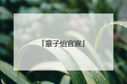 章子怡官宣