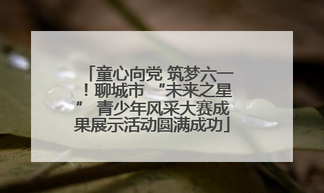 童心向党 筑梦六一！聊城市 “未来之星” 青少年风采大赛成果展示活动圆满成功