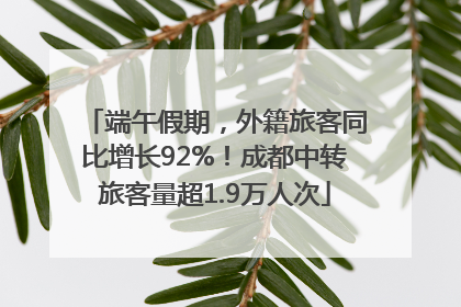 端午假期，外籍旅客同比增长92%！成都中转旅客量超1.9万人次