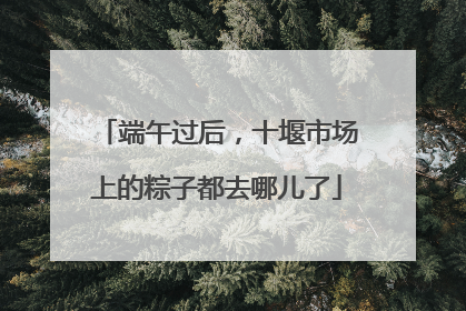 端午过后，十堰市场上的粽子都去哪儿了