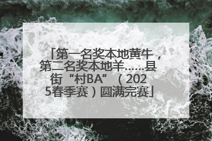第一名奖本地黄牛，第二名奖本地羊……县街“村BA”（2025春季赛）圆满完赛