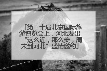 第二十届北京国际旅游博览会上，河北发出“这么近，那么美，周末到河北”盛情邀约