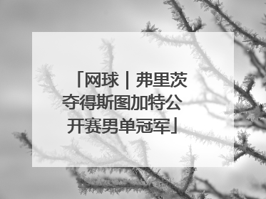 网球｜弗里茨夺得斯图加特公开赛男单冠军