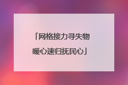 网格接力寻失物 暖心速归抚民心