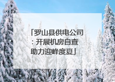 罗山县供电公司：开展机房自查 助力迎峰度夏