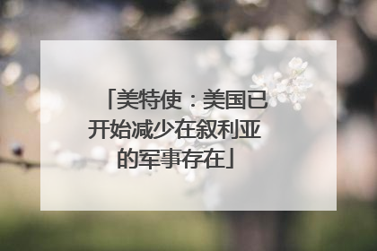 美特使：美国已开始减少在叙利亚的军事存在