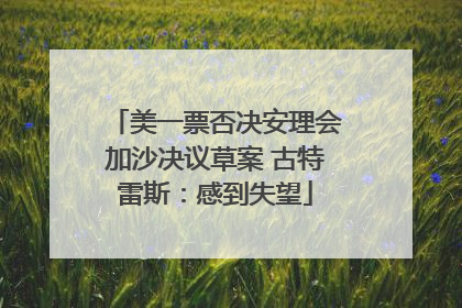美一票否决安理会加沙决议草案 古特雷斯：感到失望