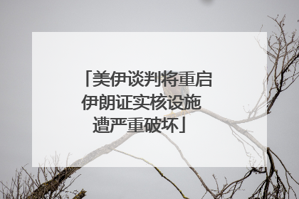 美伊谈判将重启 伊朗证实核设施遭严重破坏
