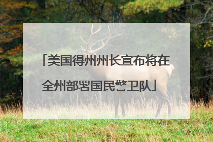 美国得州州长宣布将在全州部署国民警卫队