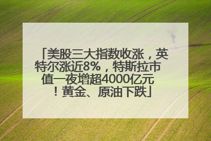 美股三大指数收涨，英特尔涨近8%，特斯拉市值一夜增超4000亿元！黄金、原油下跌