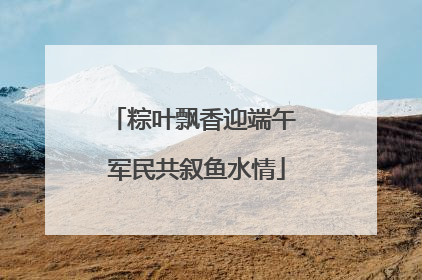 粽叶飘香迎端午 军民共叙鱼水情