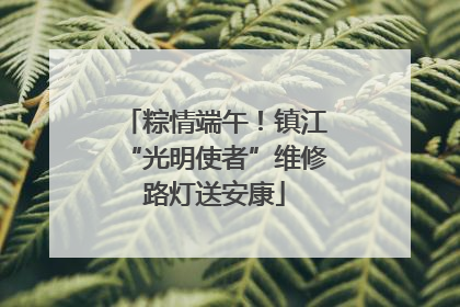 粽情端午！镇江“光明使者”维修路灯送安康