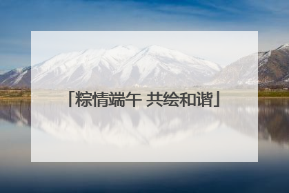 粽情端午 共绘和谐