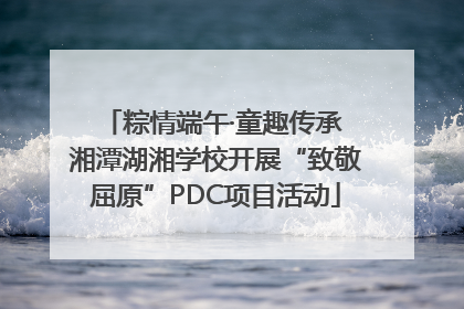 粽情端午·童趣传承 湘潭湖湘学校开展“致敬屈原”PDC项目活动