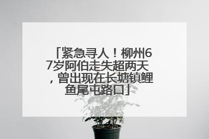 紧急寻人！柳州67岁阿伯走失超两天，曾出现在长塘镇鲤鱼尾屯路口