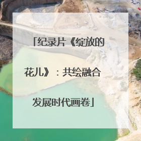 纪录片《绽放的花儿》：共绘融合发展时代画卷