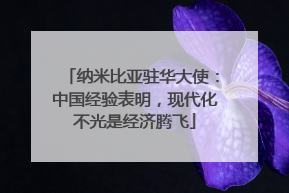 纳米比亚驻华大使：中国经验表明，现代化不光是经济腾飞