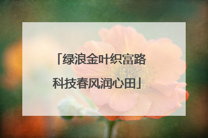 绿浪金叶织富路 科技春风润心田