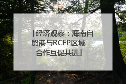 经济观察：海南自贸港与RCEP区域合作互促共进