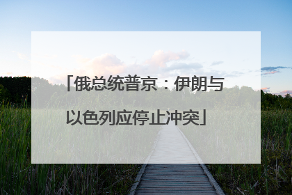俄总统普京：伊朗与以色列应停止冲突