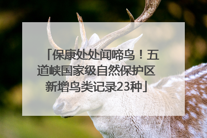 保康处处闻啼鸟！五道峡国家级自然保护区新增鸟类记录23种