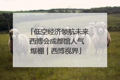 低空经济领航未来 西博会成都馆人气爆棚｜西博视界