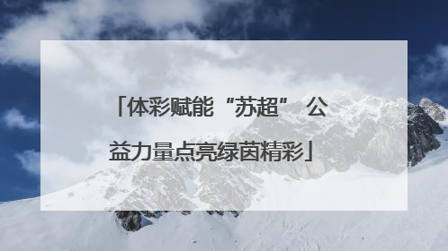体彩赋能“苏超” 公益力量点亮绿茵精彩