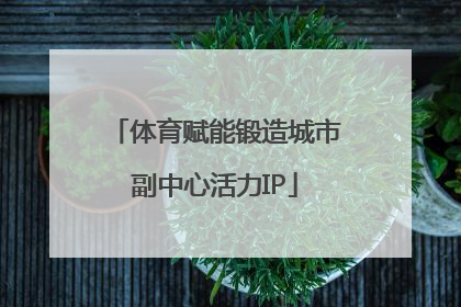 体育赋能锻造城市副中心活力IP