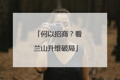 何以招商？看兰山升维破局