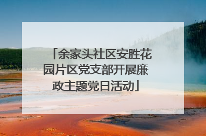 余家头社区安胜花园片区党支部开展廉政主题党日活动