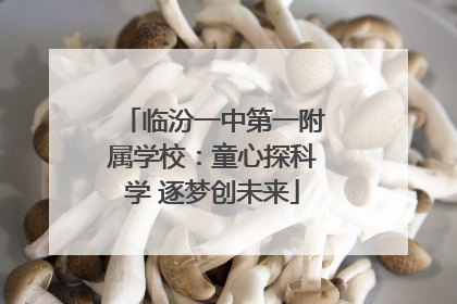 临汾一中第一附属学校：童心探科学 逐梦创未来
