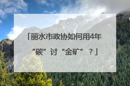 丽水市政协如何用4年“碳”讨“金矿”？