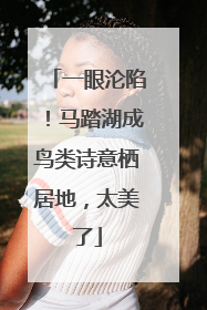一眼沦陷！马踏湖成鸟类诗意栖居地，太美了