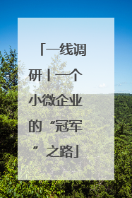 一线调研丨一个小微企业的“冠军”之路
