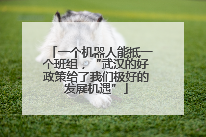 一个机器人能抵一个班组，“武汉的好政策给了我们极好的发展机遇”