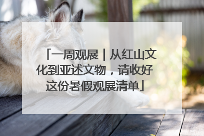 一周观展｜从红山文化到亚述文物，请收好这份暑假观展清单