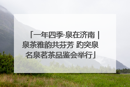 一年四季·泉在济南｜泉茶雅韵共芬芳 趵突泉名泉茗茶品鉴会举行