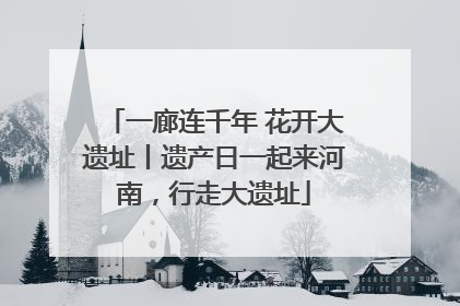 一廊连千年 花开大遗址丨遗产日一起来河南，行走大遗址