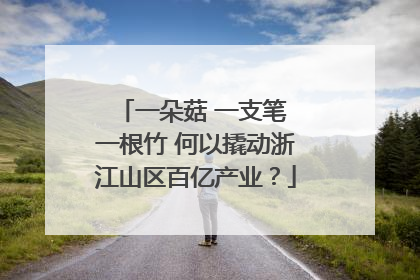 一朵菇 一支笔 一根竹 何以撬动浙江山区百亿产业？