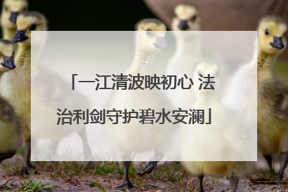 一江清波映初心 法治利剑守护碧水安澜
