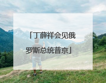 丁薛祥会见俄罗斯总统普京