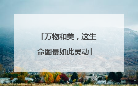 万物和美，这生命图景如此灵动