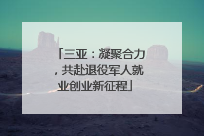 三亚：凝聚合力，共赴退役军人就业创业新征程