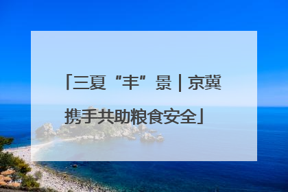 三夏“丰”景｜京冀携手共助粮食安全