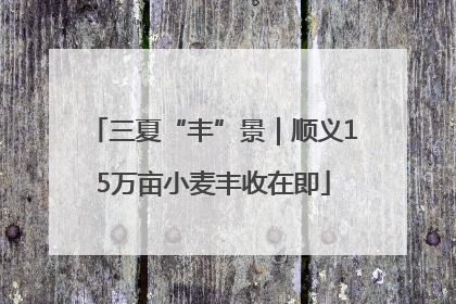 三夏“丰”景｜顺义15万亩小麦丰收在即