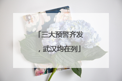 三大预警齐发，武汉均在列
