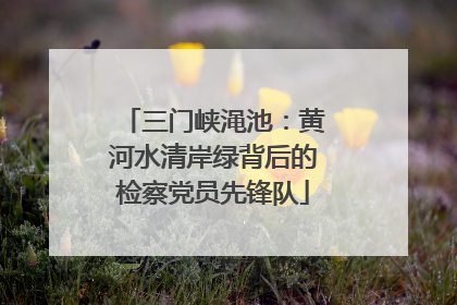 三门峡渑池：黄河水清岸绿背后的检察党员先锋队