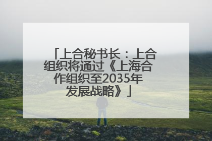 上合秘书长：上合组织将通过《上海合作组织至2035年发展战略》